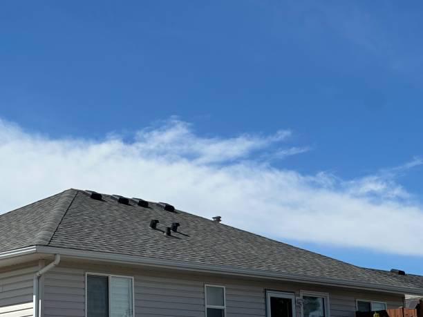 Best Rubber Roofing (EPDM, TPO)  in Country Club Hls, IL